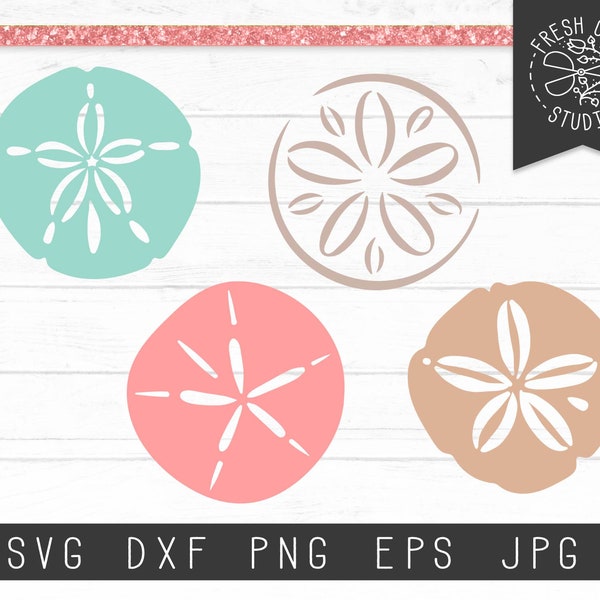 Sand Dollar SVG Cut File Instant Download, Sand Dollar Cut Files for Cricut, Beach Silhouette Svg, Die Cut File, Shell Svg Dxf Png Jpg Eps