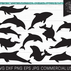 Dolphin SVG File, Dolphins SVG Cut File for Cricut, Dolphin Silhouettes, Porpoise, Bottlenose, Dolphin PNG, Instant Download dxf jpg vector