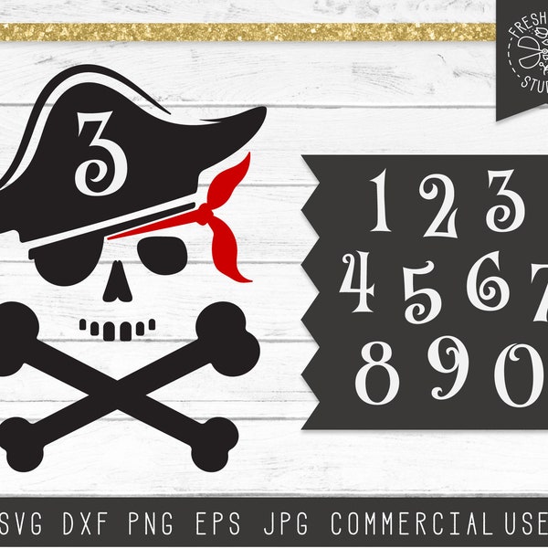 Pirate SVG Cut Files for Cricut Silhouette Instant Download Digital Design, Pirate Skull and Bones SVG, Birthday Pirate Party Svg Dxf Png