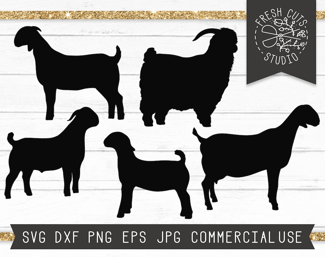 Goat SVG, Show Goat SVG Cut File Instant Download, Boer Goat