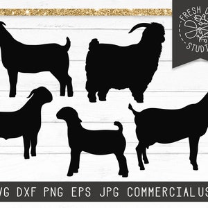 Goat SVG, Show Goat SVG Cut File Instant Download, Boer Goat SVG Livestock svg, Billy Goat Svg, Nubian Show Goat, Angora Svg Goat Silhouette