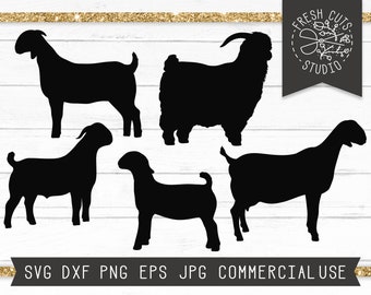 Goat SVG, Show Goat SVG Cut File Instant Download, Boer Goat SVG Livestock svg, Billy Goat Svg, Nubian Show Goat, Angora Svg Goat Silhouette