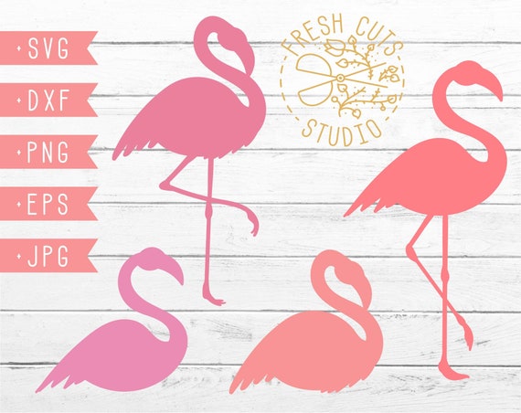 Pink Flamingo Design SVG Instant Download Design for Cricut Silhouette, Flamingo Cut Files for Cutting Paper and Vinyl, Dxf Png Vector