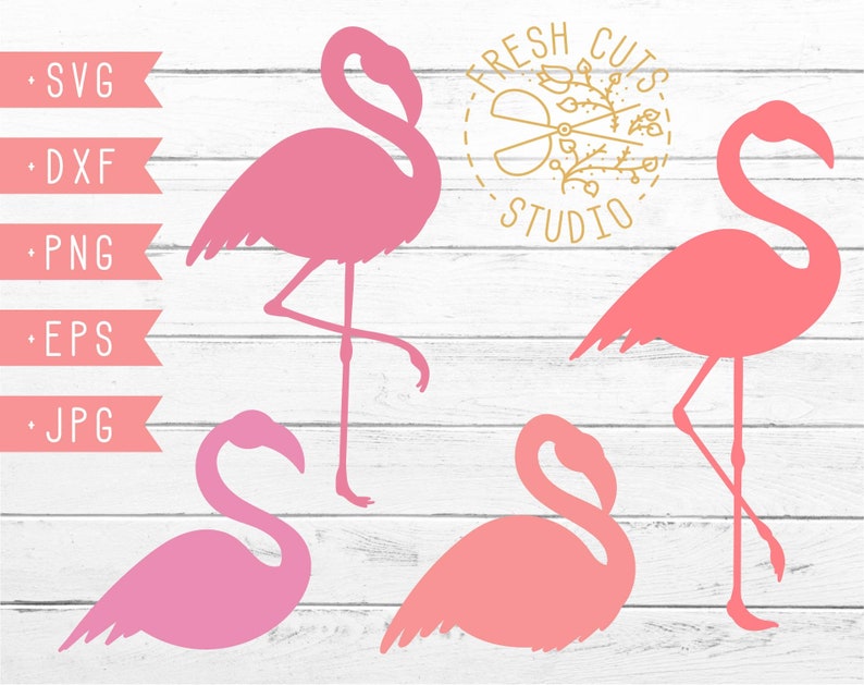 Pode incluir: Quatro silhuetas de flamingos cor-de-rosa em v&aacute;rias poses. As silhuetas s&atilde;o de diferentes tons de rosa. A imagem inclui o texto "FRESH CUTS STUDIO".