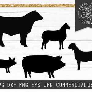 Farm Animals SVG, Show Cow SVG, Sheep svg, Farm Svg Cut Files for Cricut, Farm Animal Silhouettes, Goat svg, Hog svg, Livestock svg dxf png