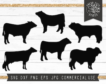 Cow SVG, Show Cows SVG Cut File, Cow Silhouettes, Brahmin Cow SVG, Bull Svg, Beef Cow Svg, Livestock, Cattle svg Show Heifer, Show Steer svg