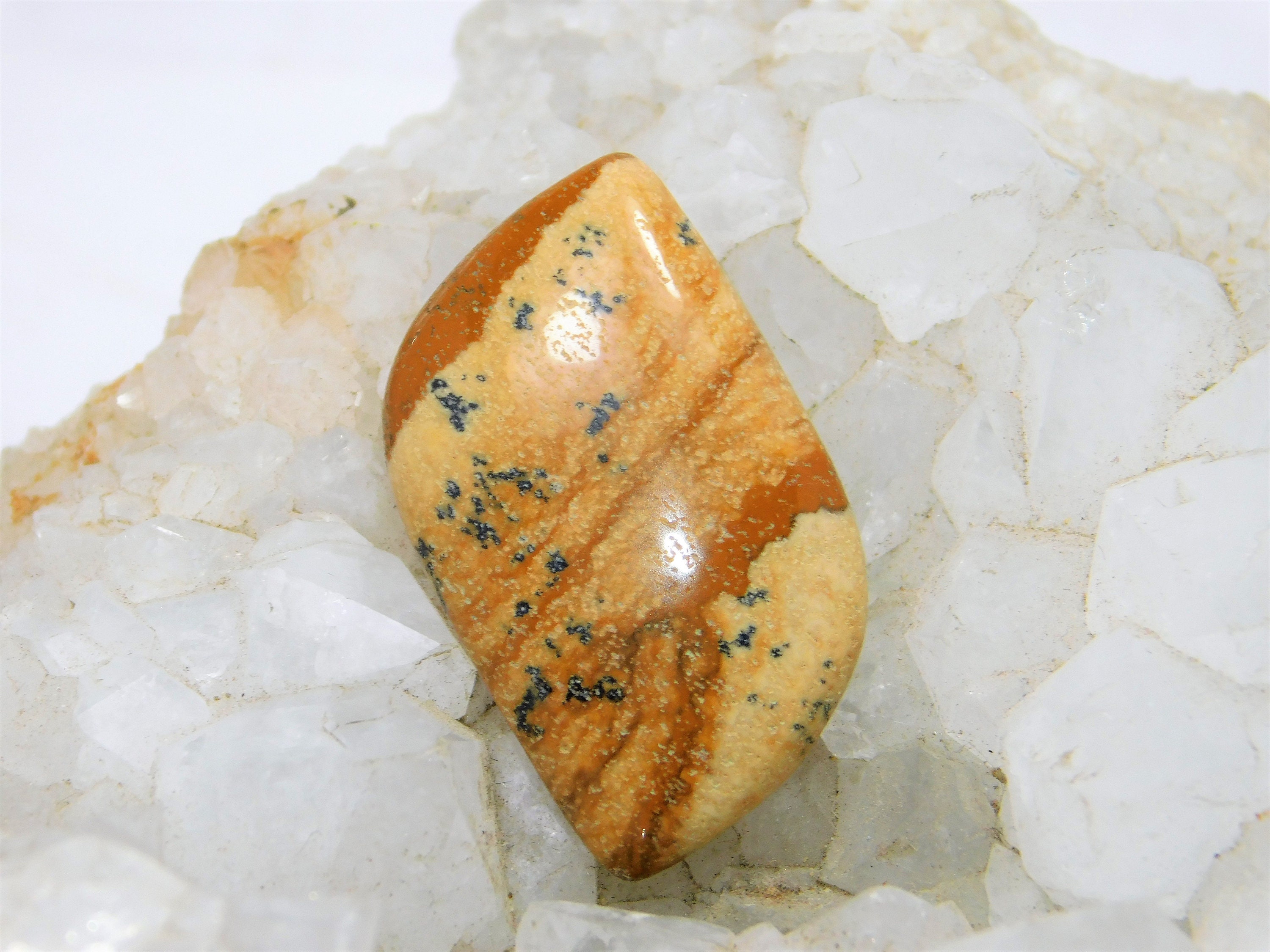 Rare Amazing Picture Jasper Gemstone Picture Jasper Loose Etsy