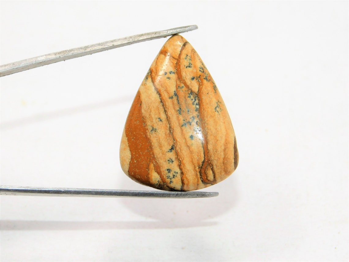 Rare Amazing Picture Jasper Gemstone Picture Jasper Loose Etsy