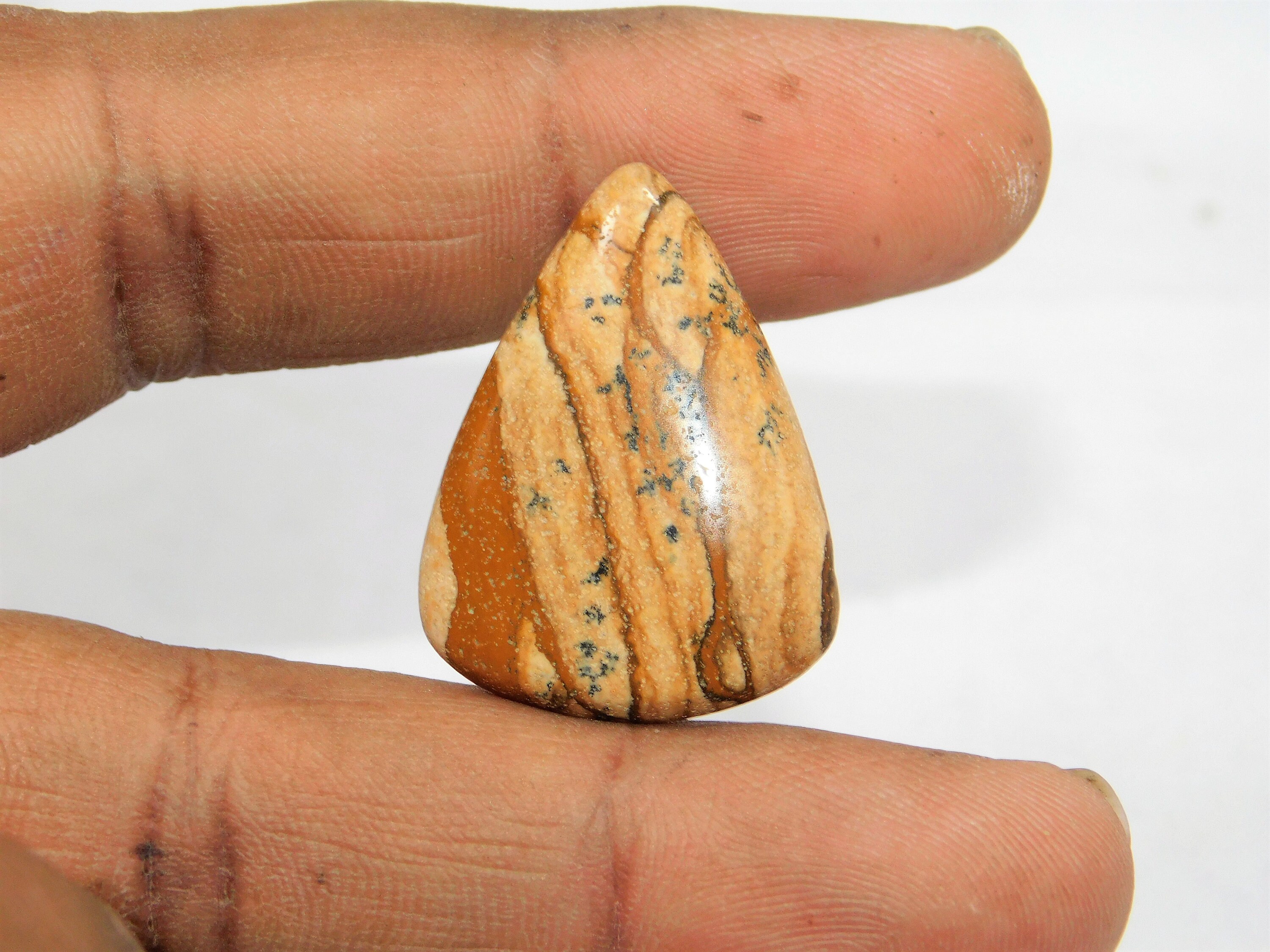 Rare Amazing Picture Jasper Gemstone Picture Jasper Loose Etsy