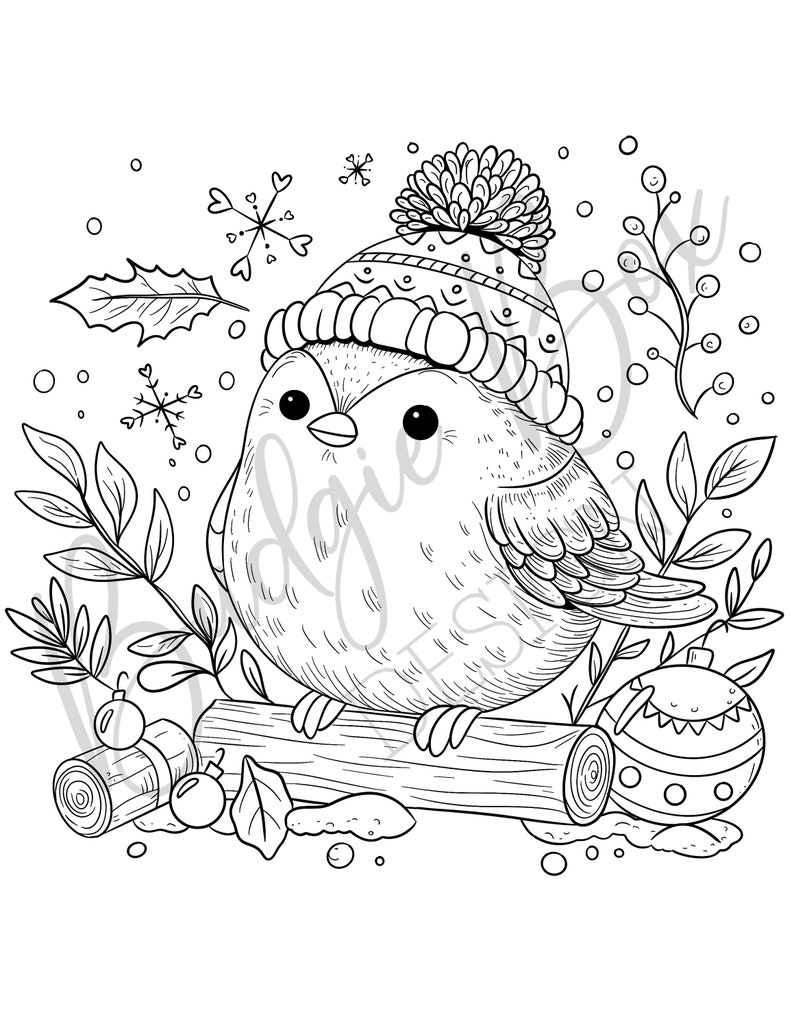 Winter Christmas Birds Adult Coloring - Il 794xN.5600946751 Crx7 