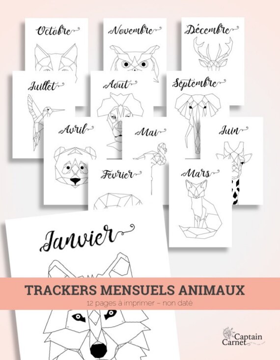 Kit Mood Tracker 12 Animaux Origami Pour Bullet Journal à Imprimer Monthly Printable Planner