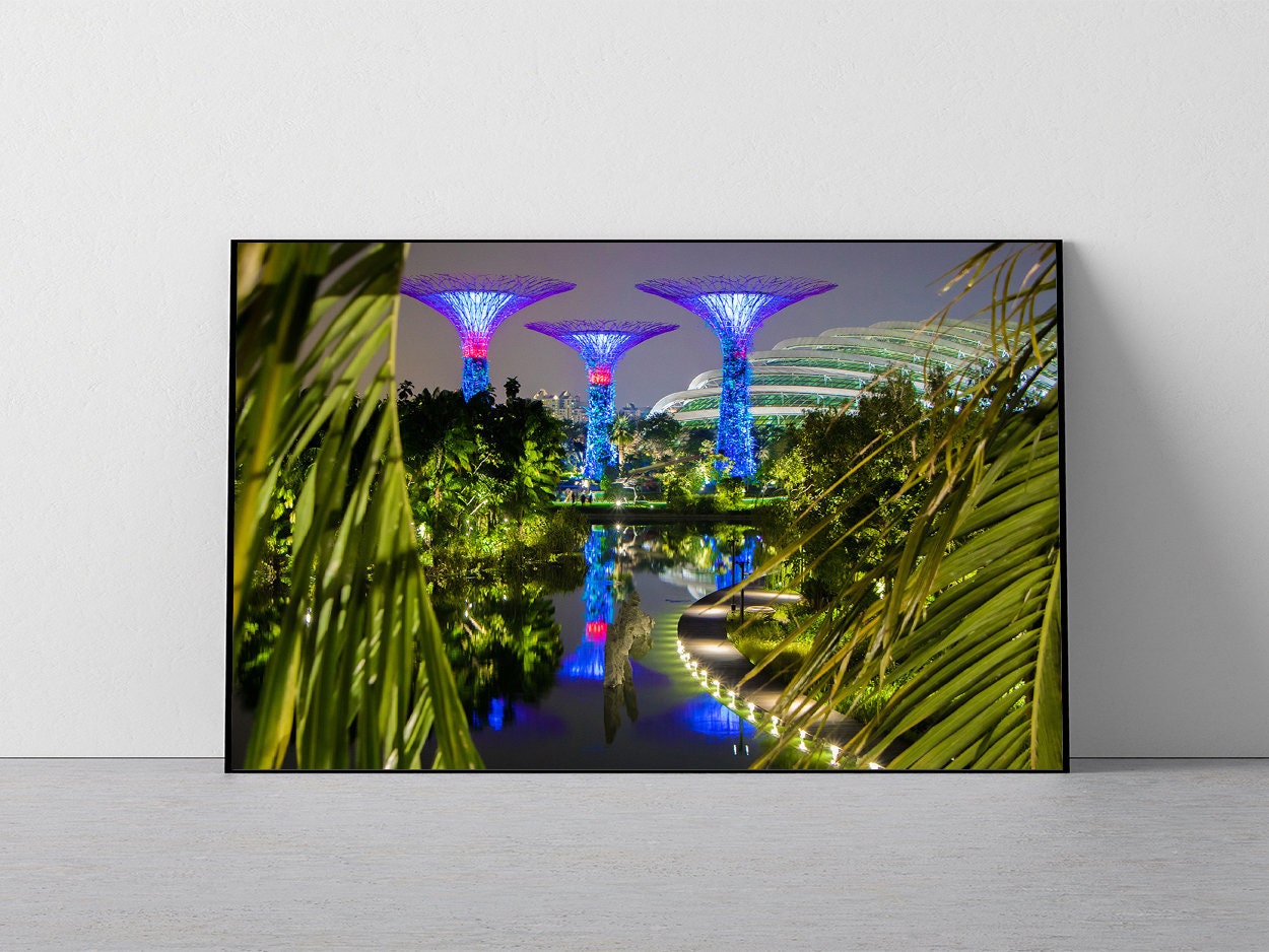 Singapore Art Prints Gardens by the Bay Wall Print Etsy