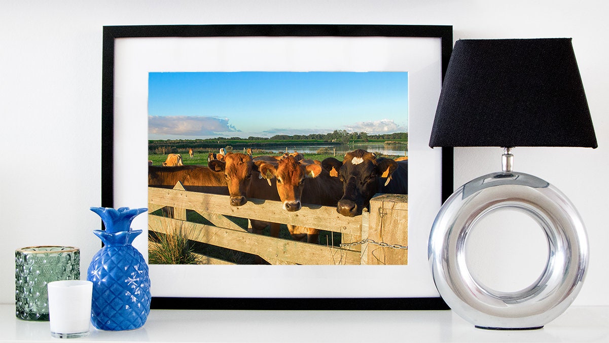 Animal Wall Art Print Etsy