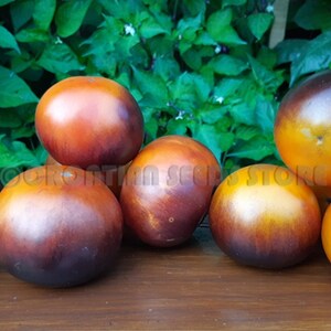 clementine blue tomato
