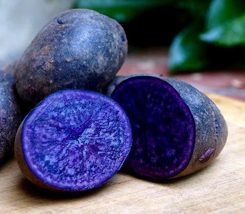Самый простой овощ. Сорт картофеля перуанский фиолетовый (Purple Peruvian). Картофель вителот. Сорт картофеля Виталот. Вителот фиолетовый картофель.