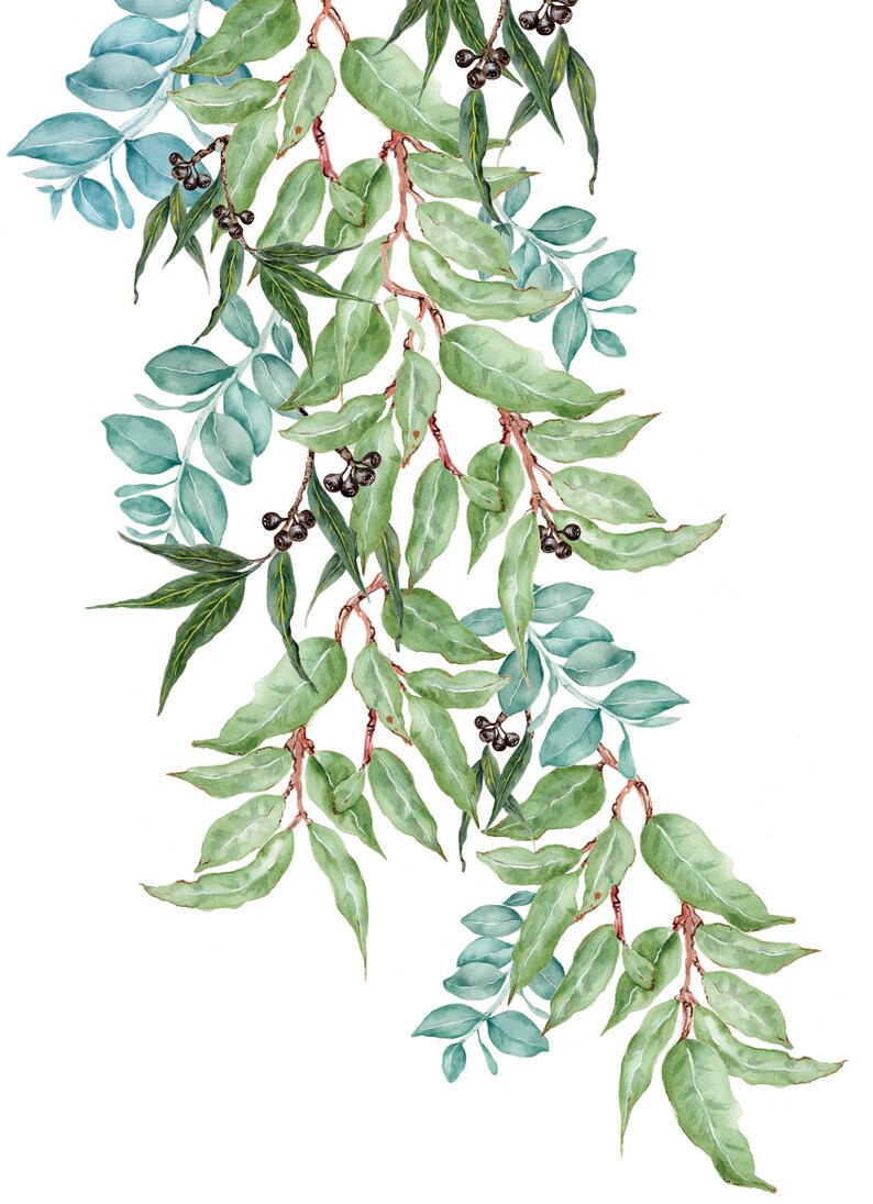 Australian Native Greenery Wall Sticker for Room Decoration Etsy