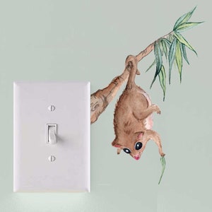 Puede incluir: Un opossum marrón y blanco colgado boca abajo de una rama con hojas verdes. El opossum está mirando a la cámara. El opossum es una calcomanía de pared.