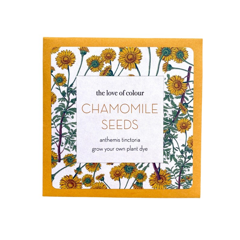 Dyer's Chamomile Seeds anthemis tinctoria / cota tinctoria Grow your own natural dye garden image 1