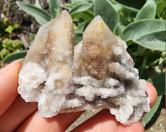 Druzy Fairy Quartz Crystal Cluster from South Africa