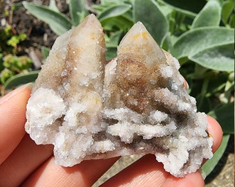 Druzy Fairy Quartz Crystal Cluster from South Africa