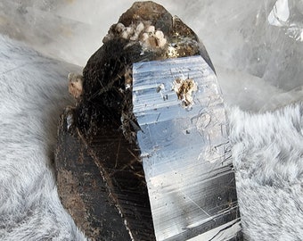 Dark Smoky Quartz with Rutile inclusions from Zomba Malawi