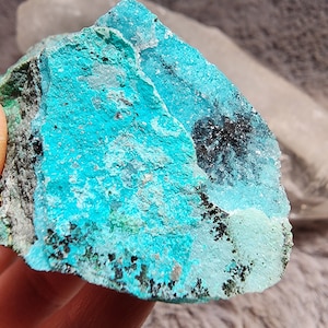 Druzy Chrysocolla Specimen from Congo