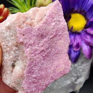 Stunning Light Pink Cobaltoan Calcite Crystal Mineral Specimen from DR Congo