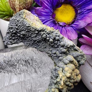 May include: A close-up of a collection of minerals and crystals. The image features a dark gray, textured mineral formation with a yellow hue, a clear quartz crystal, and a vibrant purple flower with a yellow center. The background includes a cactus.