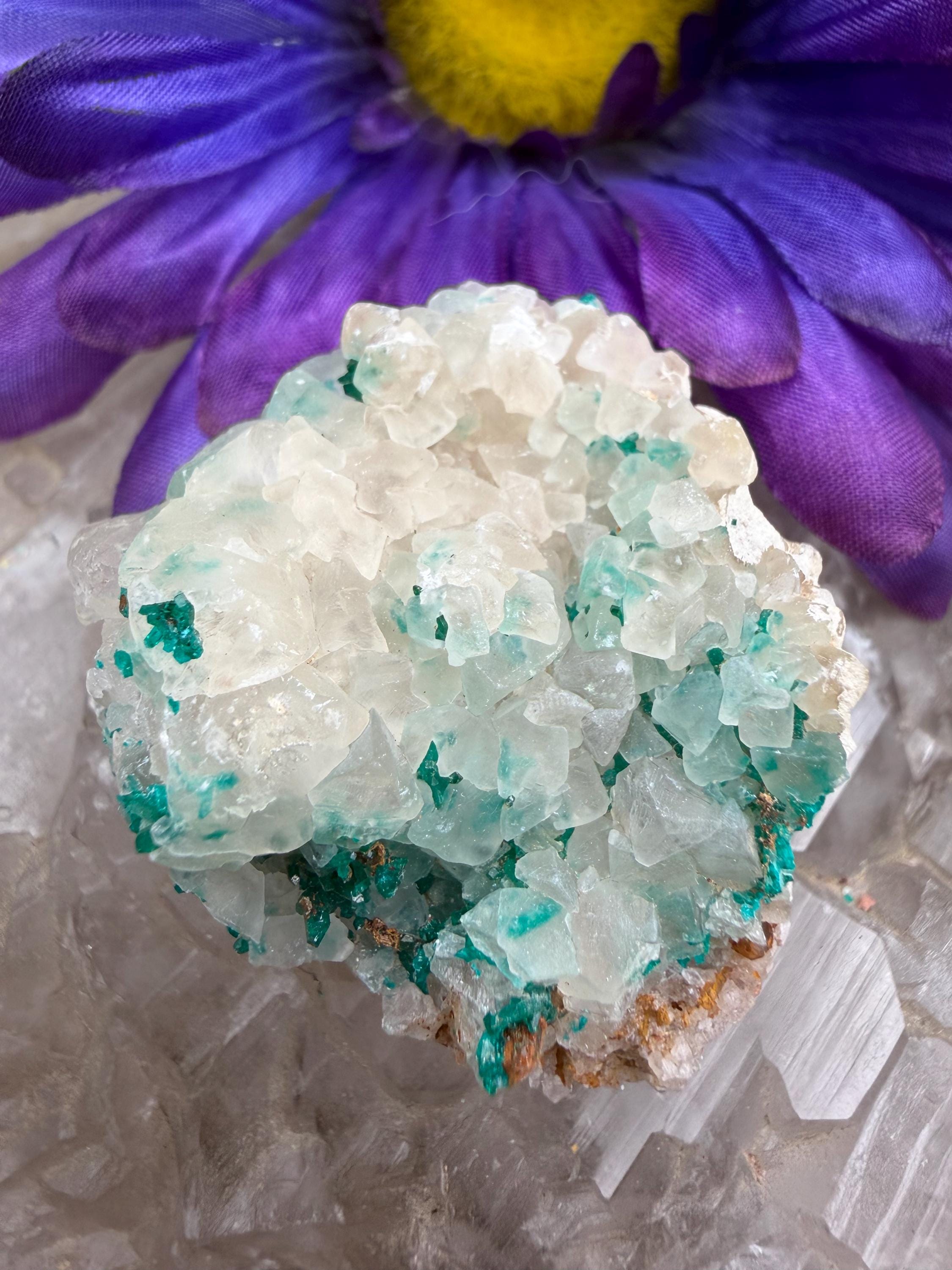 Dioptase Naturelle De Namibie - Pierre Ovale Facettée 3,41 Carats, Vert Bleuté