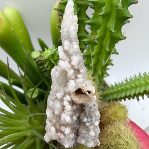 Druzy Quartz Coated Calcite Pseudomorph Specimen From Alberts Mountain, Lesotho