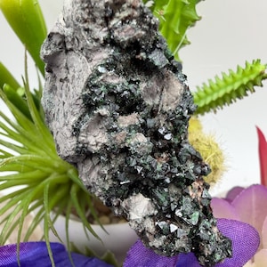 May include: A close-up of a rough, gray mineral with dark green, crystalline formations. The mineral is surrounded by green and yellow plants and purple fabric, creating a natural, textured display.