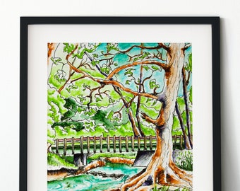 Digital Download / "Finding My Rhythm" / Watercolor Wall Art / Nature Illustration / Sketch in the Woods / Trees / Creek