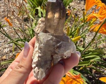 Natural Smoky Quartz Cluster | Smoky Quartz Point on Matrix | Raw Smoky Quartz Crystal | Mineral Specimen | Collector Gift,A568
