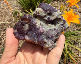 Natural Purple Edge Fluorite Cluster | Cubic Fluorite Crystal on Matrix | Purple Banded Fluorite Specimen | Collector Mineral Decor,A612
