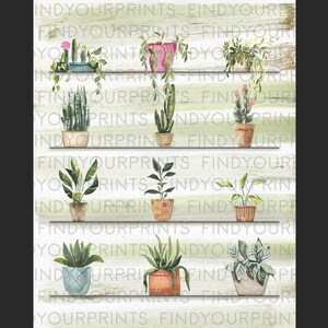 May include: A watercolor illustration of a collection of potted plants on a white wood shelf with a green and white striped background. The plants are in various sizes and shapes, including succulents, cacti, and leafy plants.