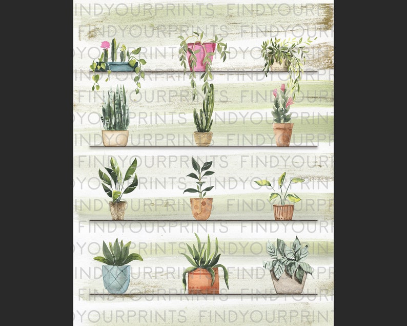May include: A watercolor illustration of a collection of potted plants on a white wood shelf with a green and white striped background. The plants are in various sizes and shapes, including succulents, cacti, and leafy plants.