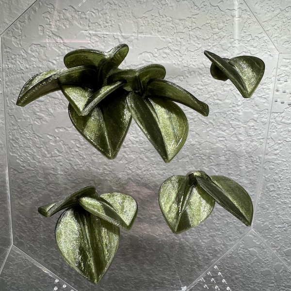 Leaf Set Of 4 Jumping Spider Decor