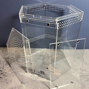 Jumping Spider Hex Tower Enclosure