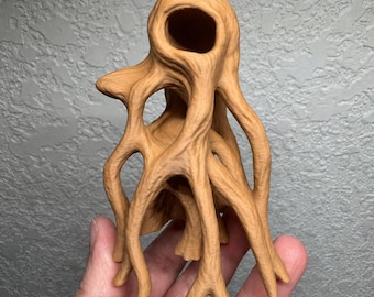 Mangrove Root Climbing Tree for Jumping Spiders