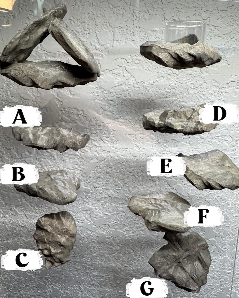 May include: A collection of gray, textured, stone-like shelves and decorative pieces. The items vary in shape and size, including a triangular shelf, a shelf with a glass, and several individual stone-like forms. The pieces are mounted on a textured wall.
