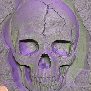 4x6" Magnetic Skull Wall For Jumping Spider Enclosures