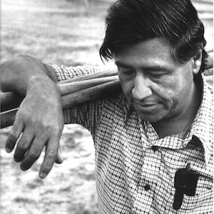 Originele Apple Think Different Cesar Chavez Poster Mac Computer 2000