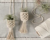 Macrame Air Plant Hanger Macrame Car Plant Hanger Air Plant Hanger Mini Macrame Air Plant Hanger Macrame Hanger Boho Decor
