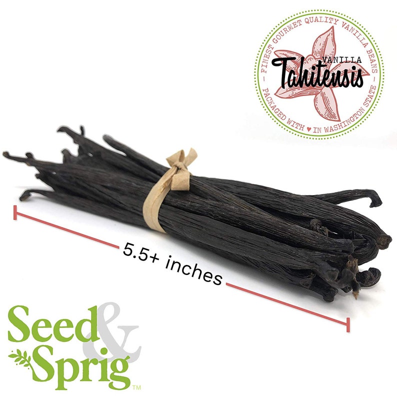Tahitian Vanilla Beans 10 Pack Bulk Whole Vanilla Pods & Etsy