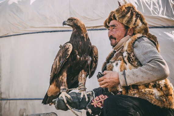 Golden Eagle Hunter Berkutchi In Mongolia Mongolian Yurt Digital Picture For Home Or Bar Wall Decor