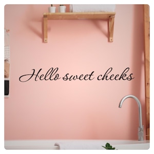 May include: A pink bathroom wall with the text "Hello sweet cheeks" in black script. A silver faucet is visible below the text, and a wooden shelf with small plants and a towel is above. The overall theme is bathroom decor.
