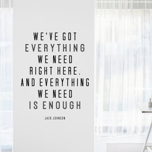 Jack Johnson We&#39;ve Got Everything Inspirational Motivational Wall Decal Quote Art for Home Living Room Office Decor Decorations 17x22 Inches