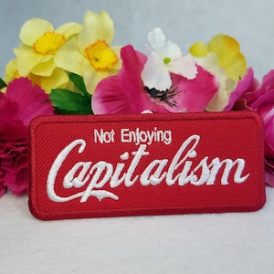 Destroy Capitalism embroidered patch. Iron On, Velcro or Sew On options 画像 2