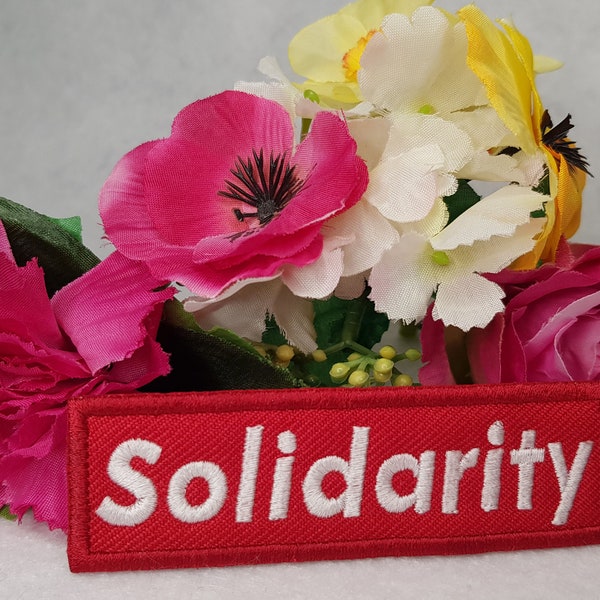 Solidarity embroidered patch. Iron On, Velcro or Sew On options! (multiple sizes). Socialist - Socialism