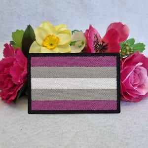 May include: A purple, white and grey embroidered patch with a black border. The patch is a representation of the asexual pride flag.